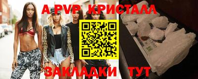 дмт Будённовск