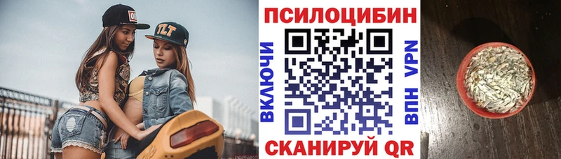 Галлюциногенные грибы Cubensis Каспийск