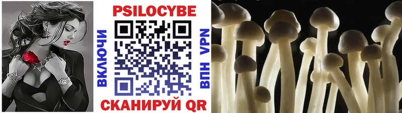 купить закладку  Каспийск  Галлюциногенные грибы MAGIC MUSHROOMS 