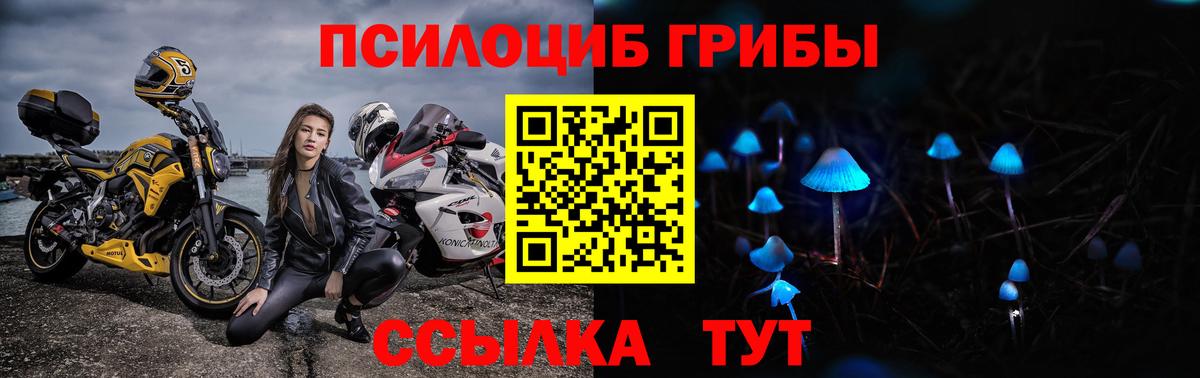 Псилоцибиновые грибы ЛСД  Вход с VPN  купить закладку  Каспийск  Псилоцибиновые грибы мицелий 