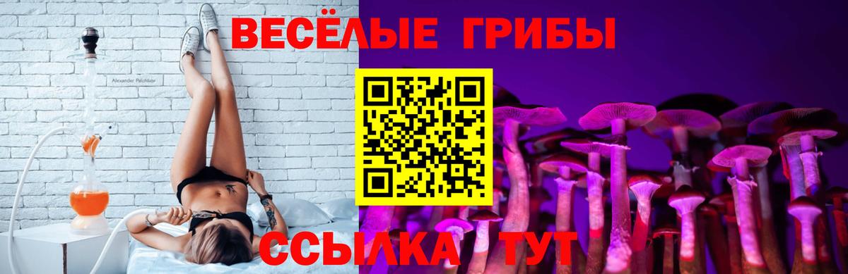 Псилоцибиновые грибы мицелий Каспийск